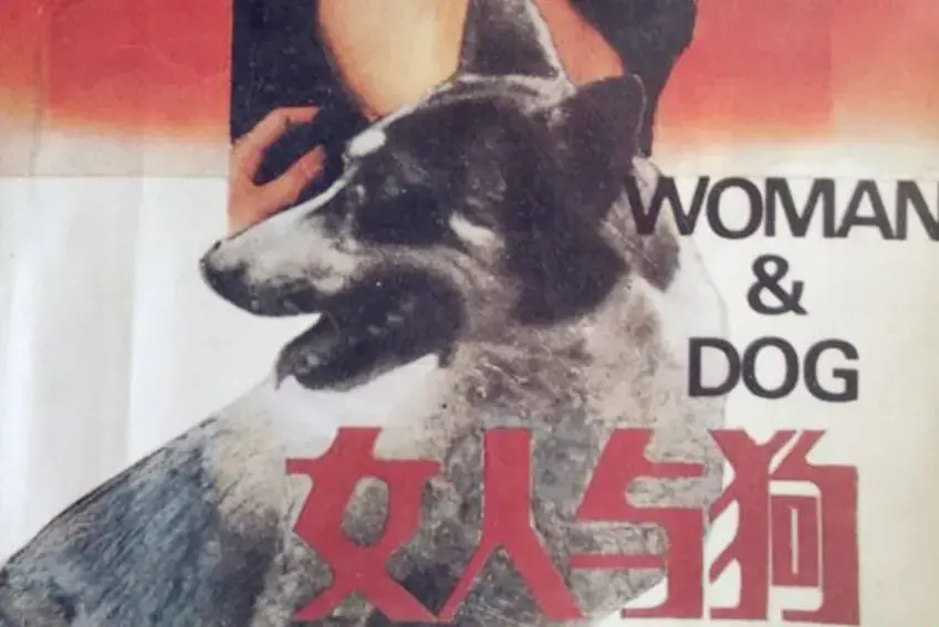 欧美电影《女人与狗》HD 1080P 蓝光高清免费在线播放《女人与狗》全季完整版免费观看