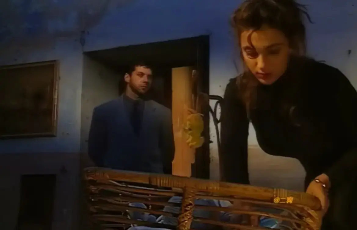 《Sceneggiata Napoletana(1994)》相关资源图片