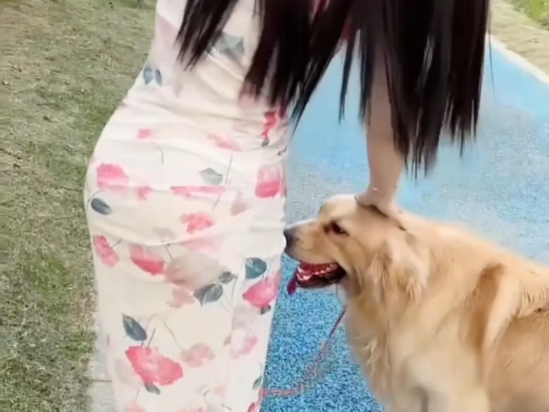 《抖音香香公主与爱犬》直播回放网盘资源持续有效免费领取