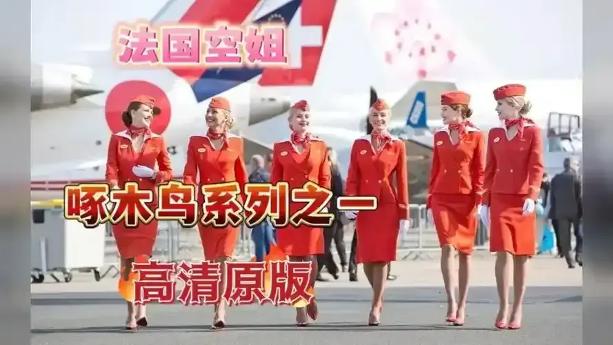 2024必看《法国空姐》，原版无删国语配音超带感 - 法国空姐电影正片在线免费播放