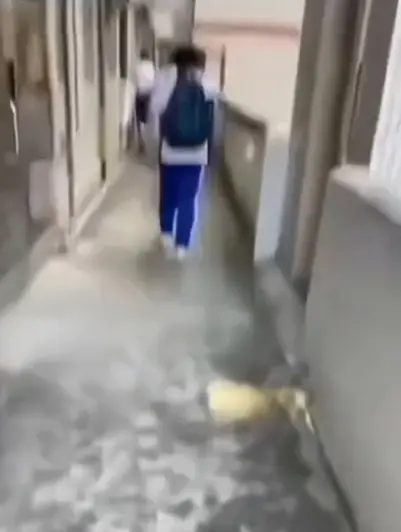 《大昌市第七中学》教室走廊现诡异身影，4K超清画质免费看，同步分享大昌七中绝密调查档案，点击即看！