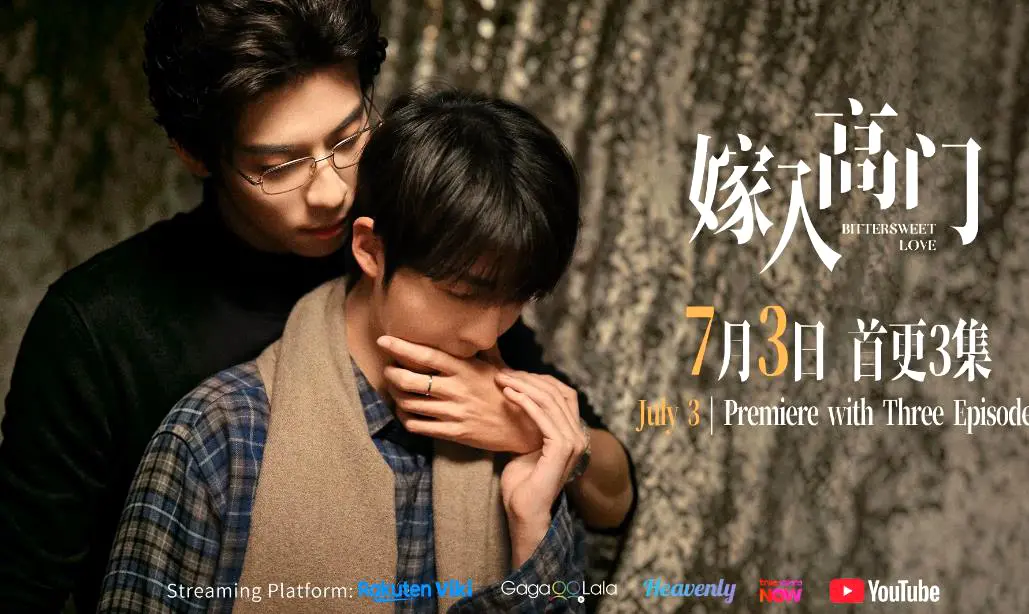 《嫁入高门的男人》全22集蓝光画质免费在线看-新剧双男主爱情剧《嫁入高门的男人》无删减完整版-VS影院热推