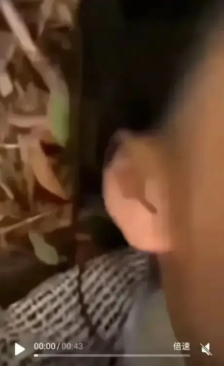 想看《女轻奢事件》？这里有轻奢事件全记录，双人大战超刺激，校园轻奢男孩与轻奢二人组的故事高清流畅播放！